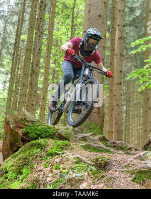 Riders vtt faisant un courageux en descente sur des sentiers en forêt Banque D'Images