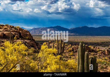 Portrait de Pinnacle Peak trail in North Scottsdale, Arizona au printemps. Banque D'Images