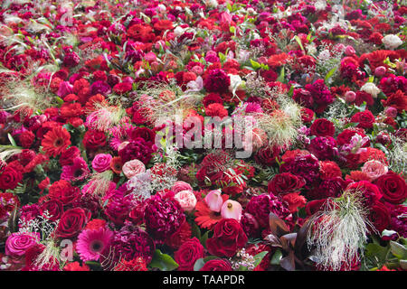 Immense et magnifique mur de Fleurs 1000 Banque D'Images