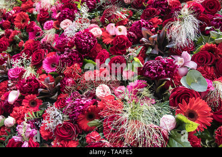 Immense et magnifique mur de Fleurs 1000 Banque D'Images