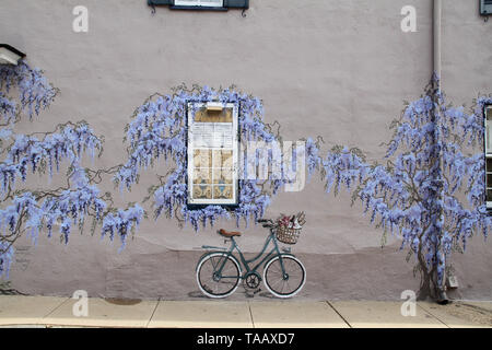 Belle photo murale sur la façade maison ancienne dans le quartier historique d'Annapolis, MD, USA Banque D'Images