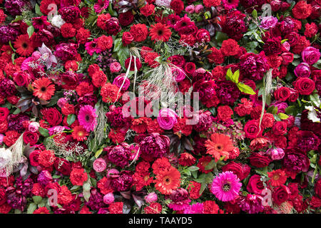 Immense et magnifique mur de Fleurs 1000 Banque D'Images