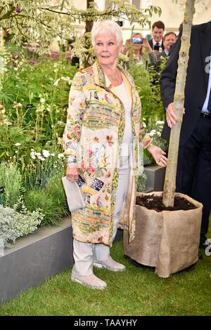 Dame Judi Dench a été présenté avec un jeune arbre orme de lancer la re-elming de la campagne britannique à partir de cette année. Pépinières Hillier, RHS Chelsea Flower Show, Londres Banque D'Images