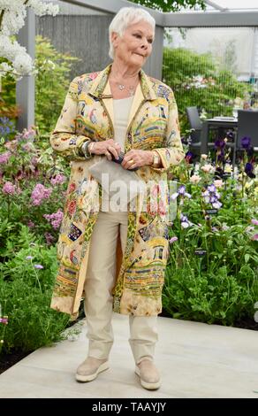 Dame Judi Dench a été présenté avec un jeune arbre orme de lancer la re-elming de la campagne britannique à partir de cette année. Pépinières Hillier, RHS Chelsea Flower Show, Londres Banque D'Images