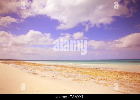 Cuba - Cayo Coco beach, célèbre station balnéaire dans les Caraïbes. Les couleurs traitées - retro style image filtrée. Banque D'Images