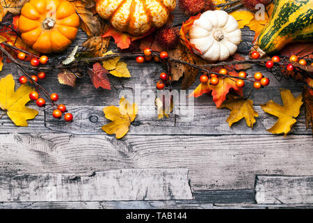 Automne fond avec des citrouilles, des feuilles et baies Banque D'Images