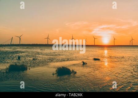 Éoliennes industrielles à Gaomei Les milieux humides durant le coucher du soleil Banque D'Images