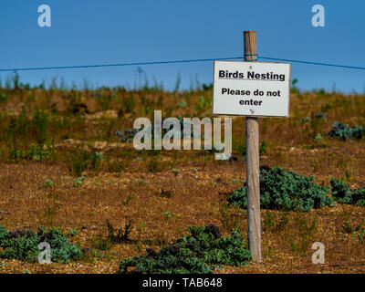 La nidification des oiseaux d'avertissement Veuillez ne pas entrer signe en réserve naturelle en UK Suffolk Felixstowe Banque D'Images