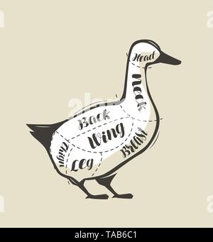 Découpe de la viande de canard. Menu de restaurant ou de boucherie. Vector Illustration de Vecteur