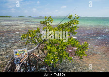 - Canne à pêche de mouche d'eau de mer des Caraïbes- los Roques venezuela Banque D'Images