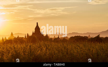 Les temples bouddhistes à Bagan, Myanmar au coucher du soleil. Banque D'Images