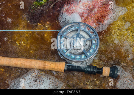 - Canne à pêche de mouche d'eau de mer des Caraïbes- los Roques venezuela Banque D'Images