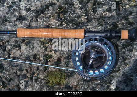 - Canne à pêche de mouche d'eau de mer des Caraïbes- los Roques venezuela Banque D'Images