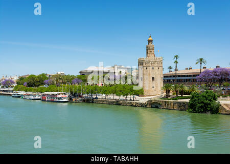 La tour de la Torre del Oro Musée Naval, Séville, Andalousie, Espagne Banque D'Images