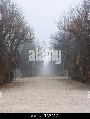 Vienne, Autriche (brouillard) Banque D'Images