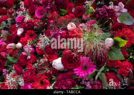 Immense et magnifique mur de Fleurs 1000 Banque D'Images