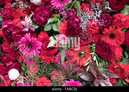 Immense et magnifique mur de Fleurs 1000 Banque D'Images