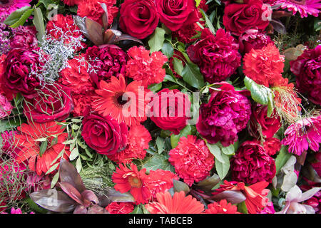 Immense et magnifique mur de Fleurs 1000 Banque D'Images
