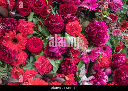 Immense et magnifique mur de Fleurs 1000 Banque D'Images