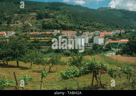 Paysage avec maisons à côté de colline couverte d'arbres et de champs de vignes à Manteigas. Un véritable village de montagne à Serra da Estrela au Portugal. Banque D'Images