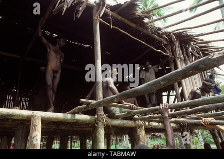 Peuple Asmat : groupe ethnique vivant dans la province de Papouasie en Indonésie, le long de la mer d'Arafura. La longue maison à Odjanep. Photographie prise par Francois Banque D'Images