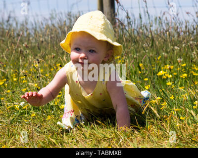 Baby Girl ramper dans les hautes herbes. Banque D'Images