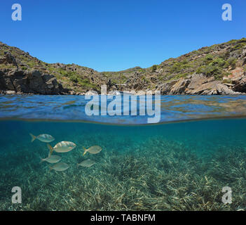 Espagne Méditerranée bateau dans une crique rocheuse avec des poissons et de la mer, sous l'herbe Posidonia Costa Brava, Catalogne, split voir la moitié sur et sous l'eau Banque D'Images