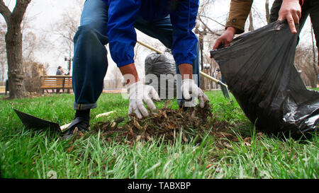 Récupérer les vieux hommes des feuilles sèches dans la région de Spring Park. Le nettoyage des zones urbaines. Banque D'Images