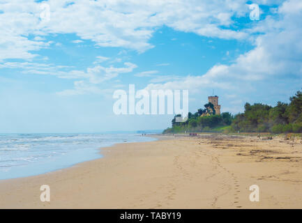 (Italie) - La plage de sable de touristique Abruzzes avec la grande forêt de pins et la célèbre tour château appelé Torre di Cerrano Banque D'Images