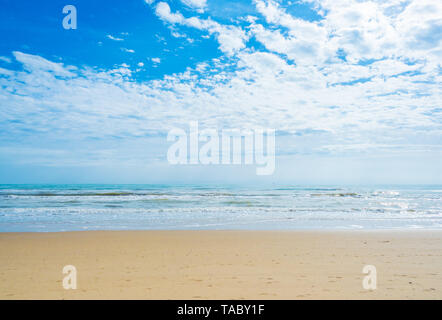 (Italie) - La plage de sable de touristique Abruzzes avec la grande forêt de pins et la célèbre tour château appelé Torre di Cerrano Banque D'Images