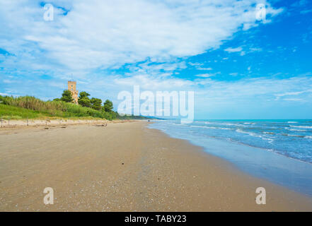 (Italie) - La plage de sable de touristique Abruzzes avec la grande forêt de pins et la célèbre tour château appelé Torre di Cerrano Banque D'Images