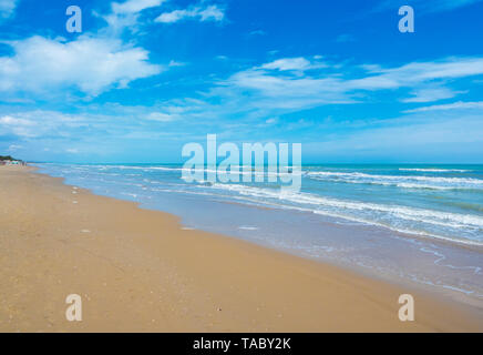 (Italie) - La plage de sable de touristique Abruzzes avec la grande forêt de pins et la célèbre tour château appelé Torre di Cerrano Banque D'Images