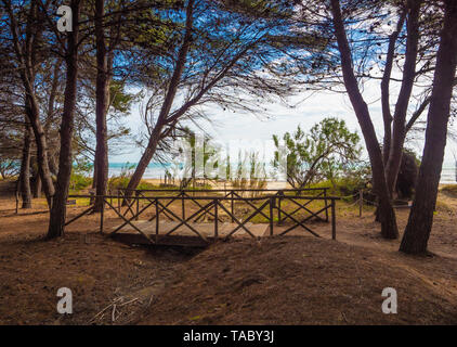 (Italie) - La plage de sable de touristique Abruzzes avec la grande forêt de pins et la célèbre tour château appelé Torre di Cerrano Banque D'Images