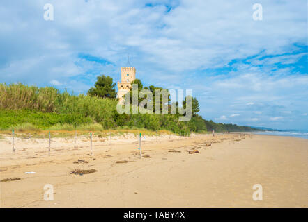 (Italie) - La plage de sable de touristique Abruzzes avec la grande forêt de pins et la célèbre tour château appelé Torre di Cerrano Banque D'Images