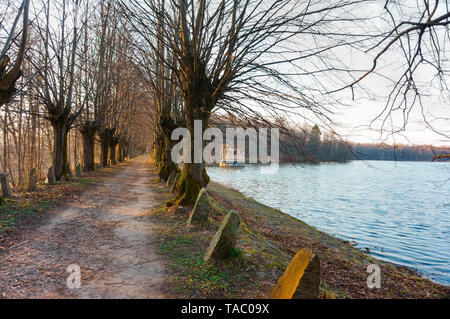 Allée sur le lac, le vieux pont d'observation sur l'étang, l'observation gazebo sur le lac, Kolosovka village, grand étang, région de Kaliningrad, Russie Banque D'Images