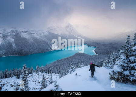 Le Canada, l'Alberta, parc national de Banff, le Lac Peyto, woman enjoying view Banque D'Images