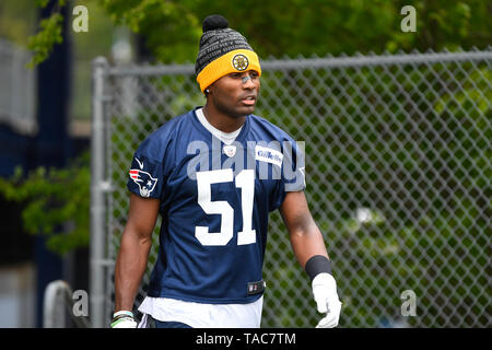 Foxborough, Massachusetts, USA. 23 mai, 2019. New England Patriots Joejuan évoluait Williams (51) participe à l'OTA les New England Patriots s'est tenue au Stade Gillette, à Foxborough, Massachusetts. Eric Canha/CSM/Alamy Live News Banque D'Images