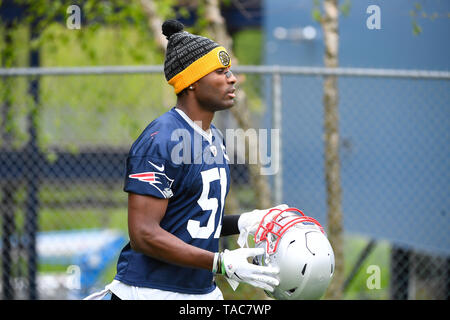 Foxborough, Massachusetts, USA. 23 mai, 2019. New England Patriots Joejuan évoluait Williams (51) participe à l'OTA les New England Patriots s'est tenue au Stade Gillette, à Foxborough, Massachusetts. Eric Canha/CSM/Alamy Live News Banque D'Images