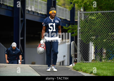 Foxborough, Massachusetts, USA. 23 mai, 2019. New England Patriots Joejuan évoluait Williams (51) participe à l'OTA les New England Patriots s'est tenue au Stade Gillette, à Foxborough, Massachusetts. Eric Canha/CSM/Alamy Live News Banque D'Images