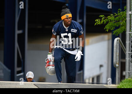 Foxborough, Massachusetts, USA. 23 mai, 2019. New England Patriots Joejuan évoluait Williams (51) participe à l'OTA les New England Patriots s'est tenue au Stade Gillette, à Foxborough, Massachusetts. Eric Canha/CSM/Alamy Live News Banque D'Images