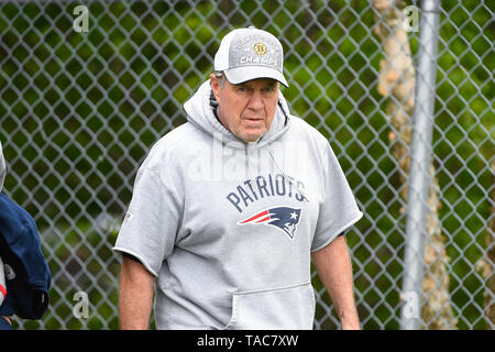 Foxborough, Massachusetts, USA. 23 mai, 2019. New England Patriots Head coach Bill Belichick prend part à l'OTA les New England Patriots s'est tenue au Stade Gillette, à Foxborough, Massachusetts. Eric Canha/CSM/Alamy Live News Banque D'Images