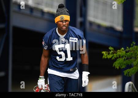 Foxborough, Massachusetts, USA. 23 mai, 2019. New England Patriots Joejuan évoluait Williams (51) participe à l'OTA les New England Patriots s'est tenue au Stade Gillette, à Foxborough, Massachusetts. Eric Canha/CSM/Alamy Live News Banque D'Images