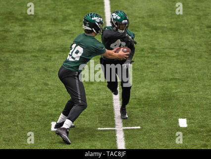 Florham Park, New Jersey, USA. 23 mai, 2019. New York Jets quarterback Trevor Siemian (19) et d'utiliser de nouveau Trenton Cannon (40) activités de l'équipe organisé au cours de l'Atlantic Health Training Center à jets de Florham Park, New Jersey. Duncan Williams/CSM/Alamy Live News Banque D'Images