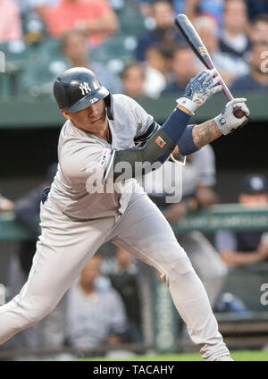 Baltimore, États-Unis d'Amérique. 22 mai, 2019. New York Yankees shortstop Gleyber Torres (25) frappe dehors dans la deuxième manche contre les Orioles de Baltimore à l'Oriole Park at Camden Yards de Baltimore, MD, le mercredi 22 mai, 2019. Credit : Ron Sachs/CNP (restriction : NO New York ou le New Jersey Journaux ou journaux dans un rayon de 75 km de la ville de New York) | Conditions de crédit dans le monde entier : dpa/Alamy Live News Banque D'Images