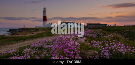 Portland, Dorset, UK. 23 mai 2019. Météo France : Le soleil se couche derrière l'emblématique Portland Bill lighthouse sur l'Île de Portland à la fin d'une belle journée de printemps. La sea thrift roses délicates fleurs sont en pleine floraison rendant le phare particulièrement pittoresque à cette époque de l'année. Credit : Celia McMahon/Alamy Live News. Banque D'Images