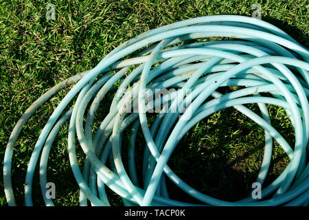 Arrosage on Green grass lawn Banque D'Images