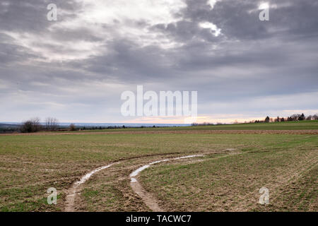 Moody météo avec des nuages gris dans le ciel au-dessus d'un champ agricole avec un peu de vert une flaques dans l'empreinte de tracteur. Vu en mars 2019 près de il Banque D'Images