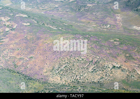 Vue aérienne du terrain à la parc national Namaqua dans la province du Cap du Nord de l'Afrique du Sud. Banque D'Images