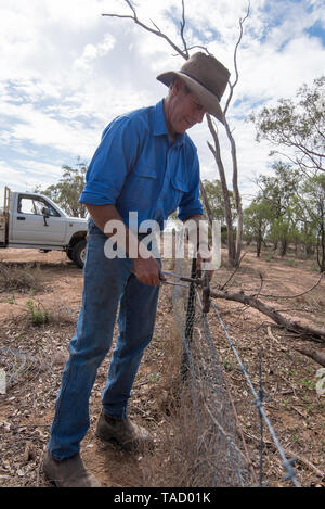 Mai 2019 Burren Junction, Australie : Richard Marshall à réparer un fil endommagé à l'aide de clôture son vintage préféré Donald passoire du fil Banque D'Images