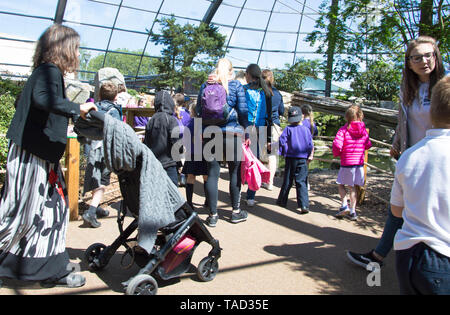 Les personnes en visite à Blackpool Zoo sur une journée chaude et ensoleillée Banque D'Images